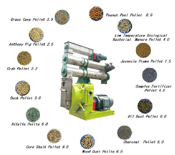 feed pellet mill industry 