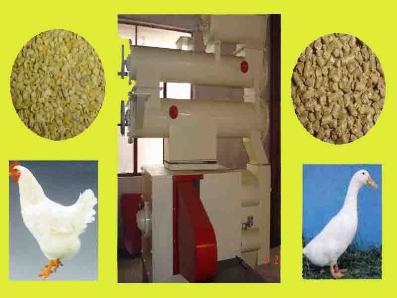 feed pellet mills