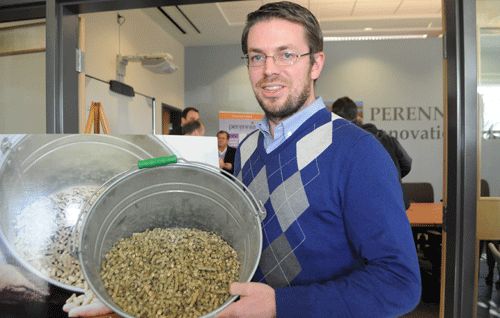 grass pellet